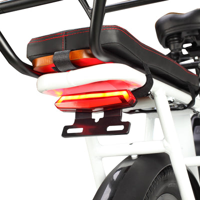 Philodo Traveller 750W Family Cargo Electric Bike