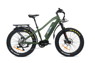 BAKCOU Mule 48V 1000W Mid Drive Electric Bike