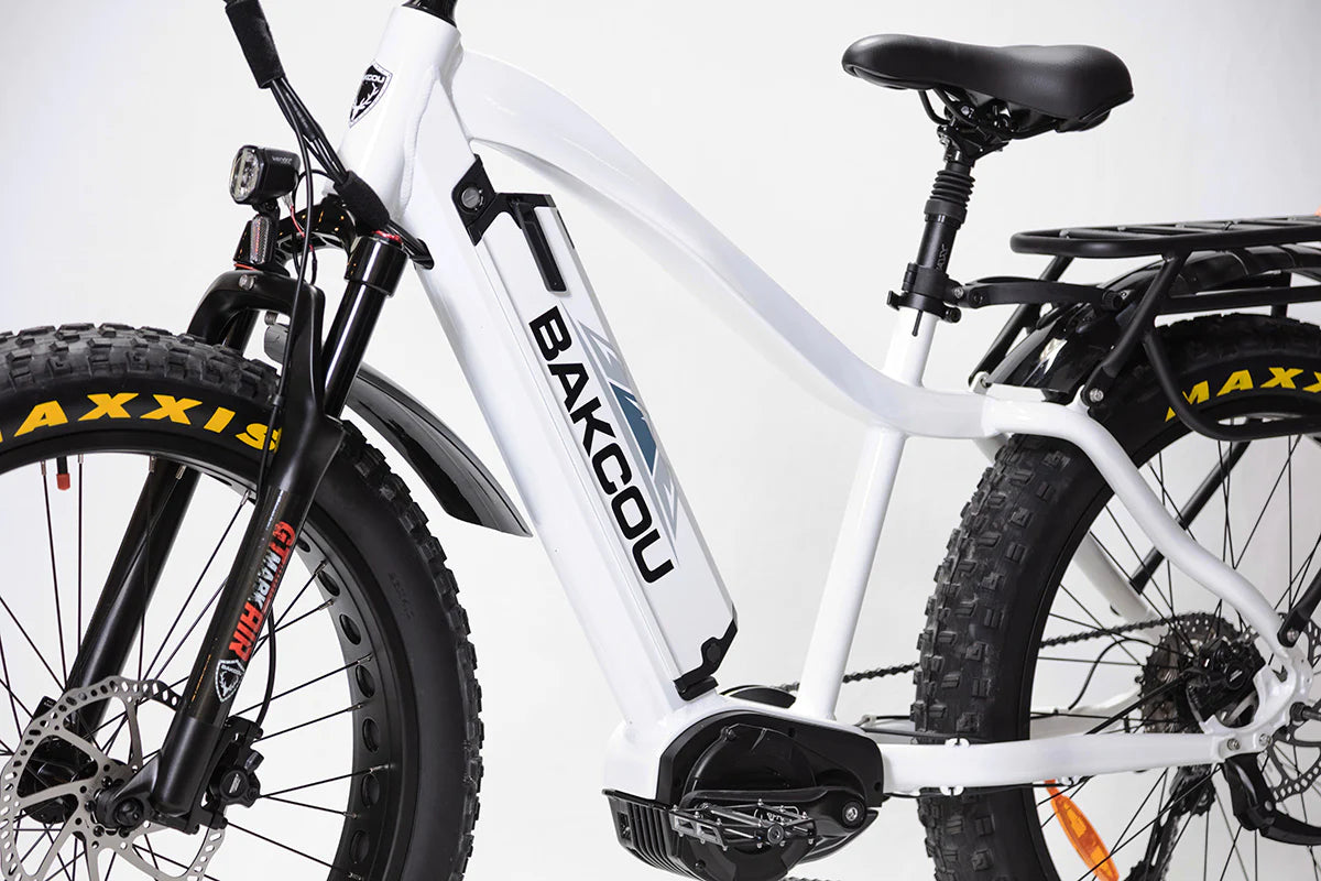 BAKCOU Mule 48V 1000W Mid Drive Electric Bike
