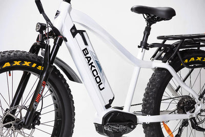 BAKCOU Mule 48V 1000W Mid Drive Electric Bike