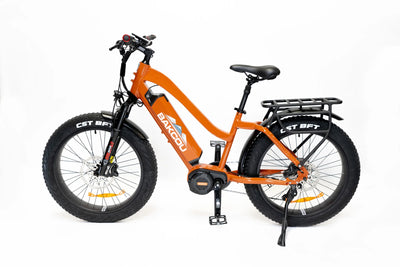 BAKCOU Mule Step-Through 24" 1500W Electric Bike