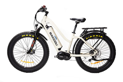 BAKCOU Mule Step-Through 26" Electric Bike