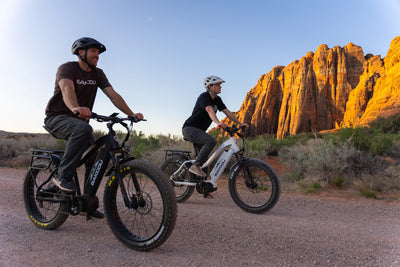 BAKCOU Mule Step-Through 26" Electric Bike