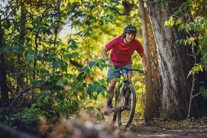BATCH BICYCLES The Disc Brake Mountain Bike