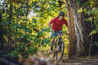 BATCH BICYCLES The Disc Brake Mountain Bike