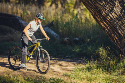 BATCH BICYCLES The Disc Brake Mountain Bike