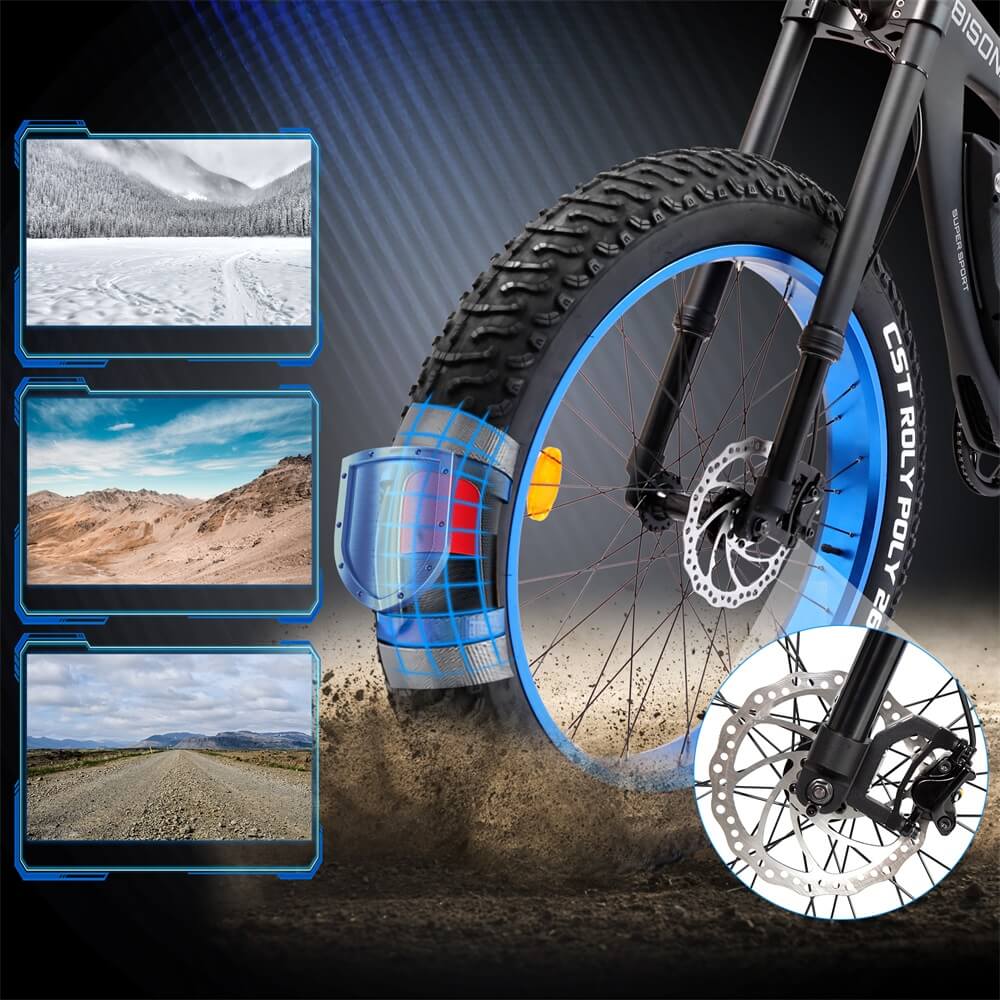 ECOTRIC 48v 17.6AH 1000W Big Fat Tire Ebike Bison-Matte Black