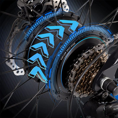 ECOTRIC 48v 17.6AH 1000W Big Fat Tire Ebike Bison-Matte Black