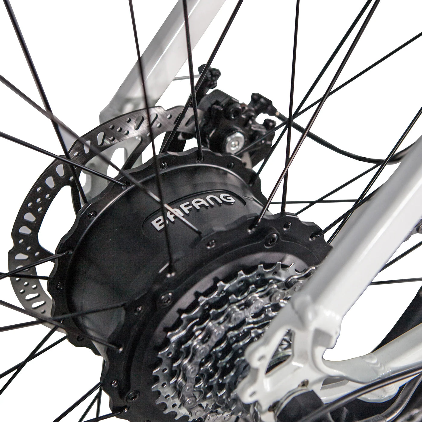 REVIBIKES Predator Front Suspension Electric Bike