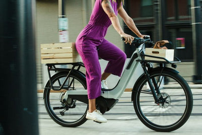 VAAST BIKES Electric Bikes E/1 Shimano SLX/XT
